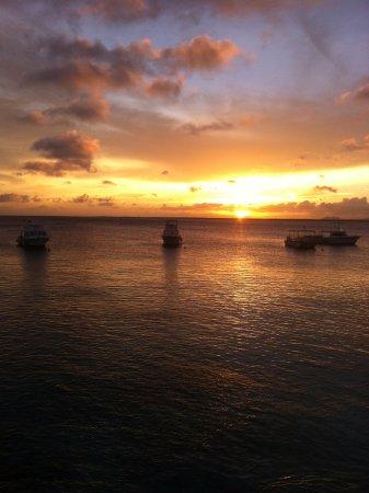 Chibi Chibi Restaurant & Grill